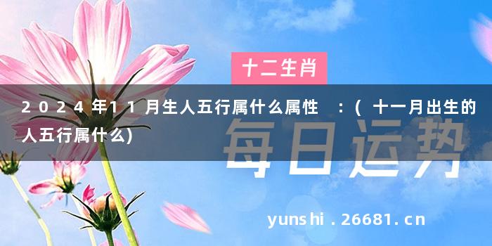 2024年11月生人五行属什么属性 :(十一月出生的人五行属什么)